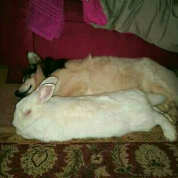 ๐ถ๐น๐ด FYI ๐ด๐น๐ถ - Picture 5 of 8